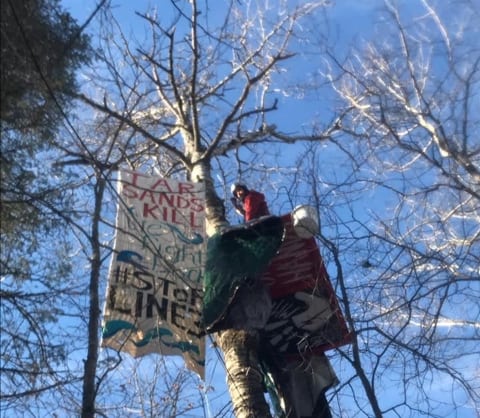 A Line 3 protester doing a tree sit.